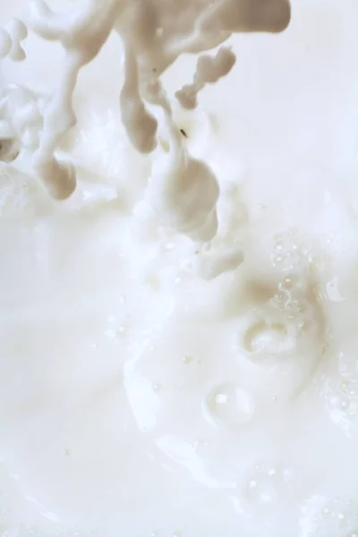 Abstracte Witte Achtergrond Met Melk Spatten Macro — Stockfoto