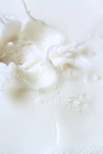 Біле Молоко Плескає Білому Тлі — стокове фото