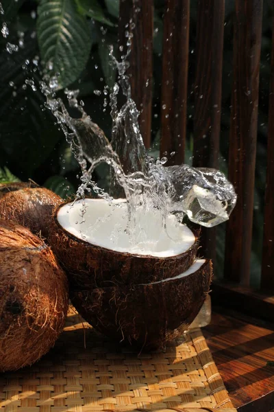 Kokosdryck Med Kokosmjölk — Stockfoto
