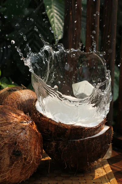 椰子加牛奶和椰子 — 图库照片