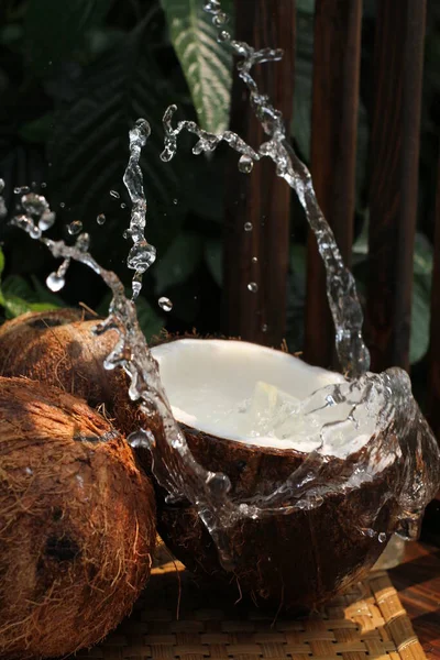 Kokosmjölk Med Kokosstänk — Stockfoto