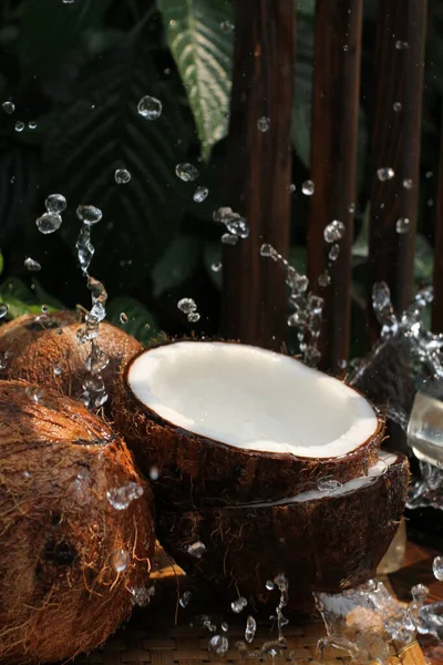 신선한 코코넛 — 스톡 사진
