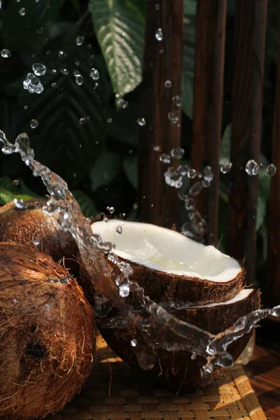 Kokosnöt Med Kokosolja — Stockfoto