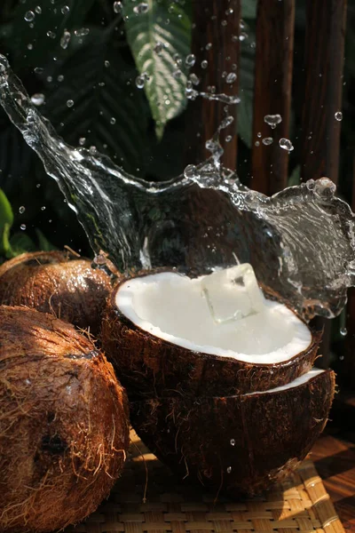 Kokos Kokosmjölk — Stockfoto