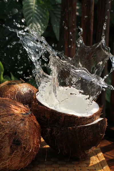 椰子中的椰子饮料 — 图库照片