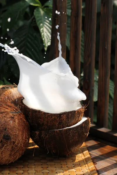 椰子椰奶 — 图库照片