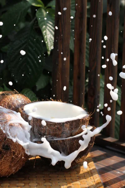 코코넛 플레이크와 코코넛 — 스톡 사진