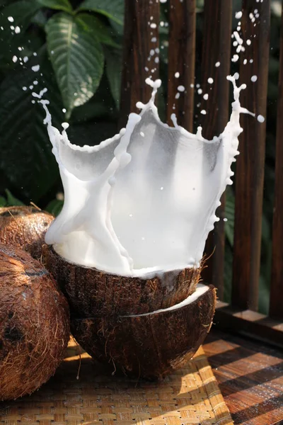 Kokosnöt Med Mjölk Och Kokosmjölk — Stockfoto