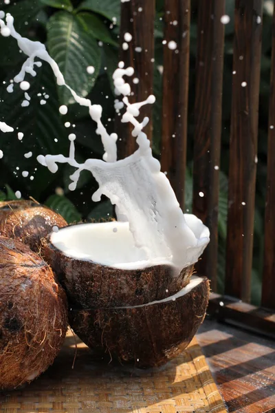 coconut milk with coconut flakes