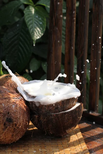 ココナッツとココナッツ オイル — ストック写真
