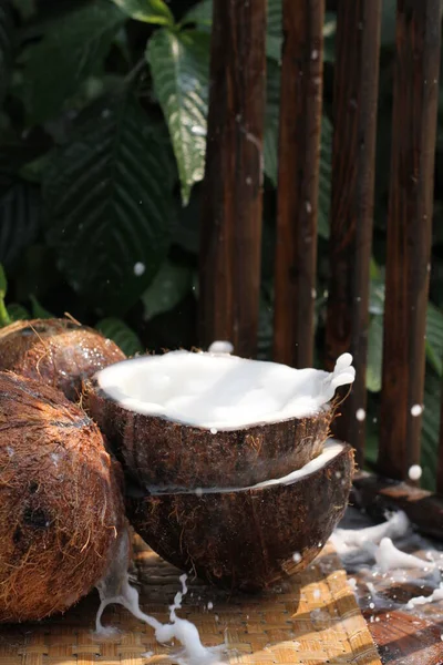 Lapte Cocos Lapte Proaspăt — Fotografie, imagine de stoc