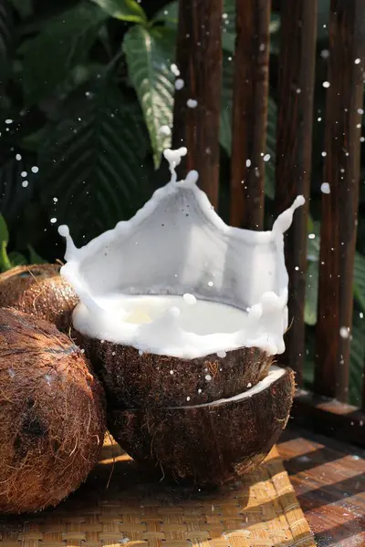 椰子椰子加鲜牛奶 — 图库照片