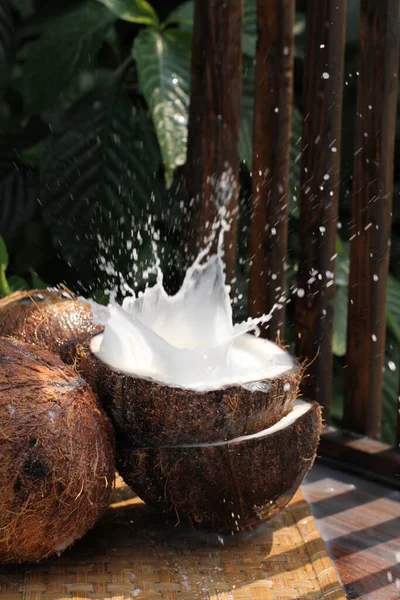 코코넛 우유와 코코넛 — 스톡 사진