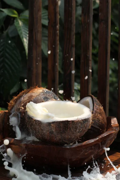 Kokosnöt Och Mjölk — Stockfoto