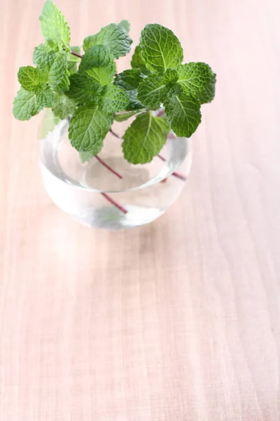 Mint Glass Vase Wooden Table — Stock Photo, Image