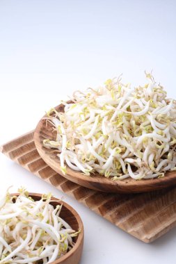 Taze filizler ve soğanlar