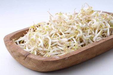 taze organik turp filizleri