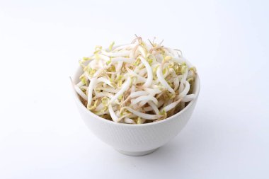 Beyaz arka planda beyaz bir kasede taze turp filizleri.