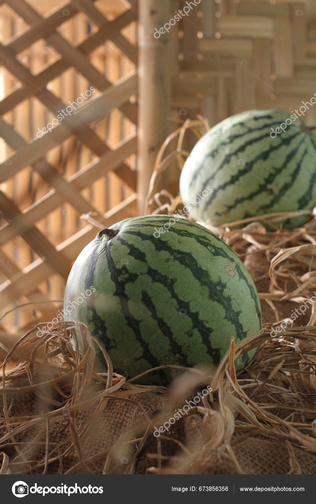 25 YEARS of Cucumber Melon, melon