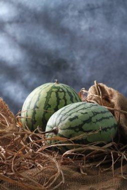 Karpuz bir sarmaşıktır. Bu bitki bir tür kabak, kavun ve salatalık. Karpuz meyvesi genellikle taze yenmek ya da meyve suyuna dönüştürülmek için toplanır..