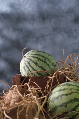Karpuz bir sarmaşıktır. Bu bitki bir tür kabak, kavun ve salatalık. Karpuz meyvesi genellikle taze yenmek ya da meyve suyuna dönüştürülmek için toplanır..