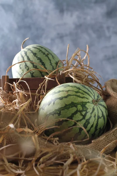 Wassermelone Ist Eine Rebsorte Diese Pflanze Ist Eine Art Von — Stockfoto