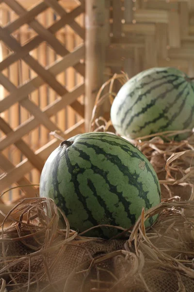西瓜是一种藤蔓 这种植物是一种南瓜 甜瓜和黄瓜 西瓜通常采摘后新鲜食用或制成果汁 — 图库照片