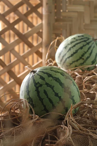 西瓜是一种藤蔓 这种植物是一种南瓜 甜瓜和黄瓜 西瓜通常采摘后新鲜食用或制成果汁 — 图库照片