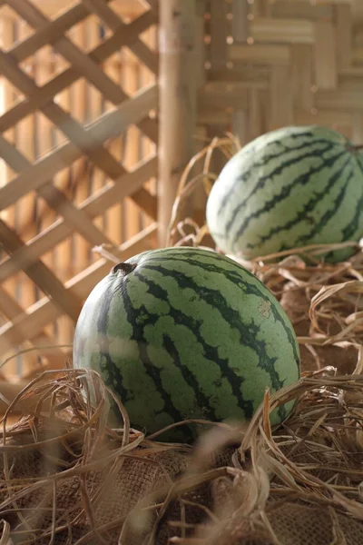 Watermelon Vine Plant Type Pumpkin Melon Cucumber Watermelon Fruit Usually — Stock Photo, Image