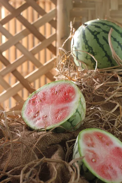 Vandmelon Vinstok Denne Plante Type Græskar Melon Agurk Vandmelonfrugter Høstes - Stock-foto