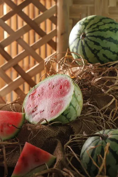 Vandmelon Vinstok Denne Plante Type Græskar Melon Agurk Vandmelonfrugter Høstes - Stock-foto