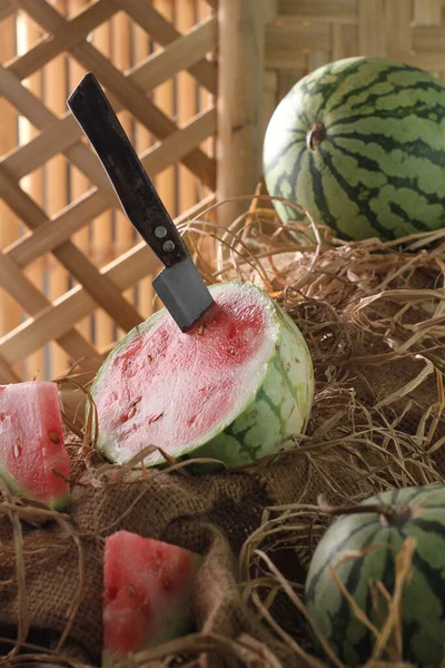 Anguria Una Vite Questa Pianta Tipo Zucca Melone Cetriolo Frutto — Foto Stock