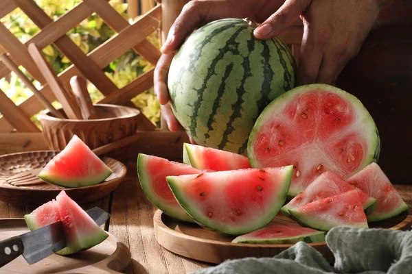 Wassermelone Garten — Stockfoto