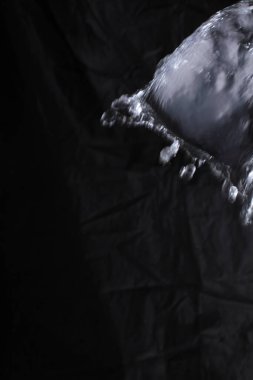 Siyah arkaplanda su sıçraması