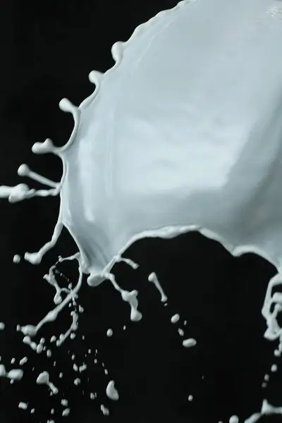 Πιτσίλισμα Γάλα Μαύρο Φόντο — Φωτογραφία Αρχείου
