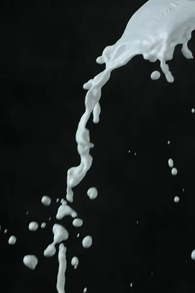 Брызги Молока Черном Фоне — стоковое фото