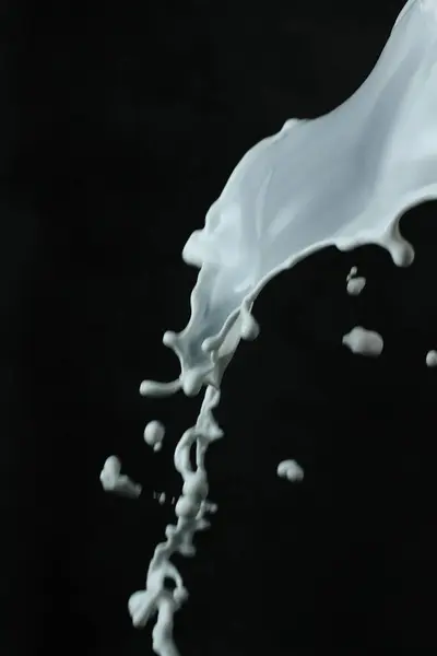 Süt Sıçraması Siyah Arkaplanda Izole Edildi — Stok fotoğraf