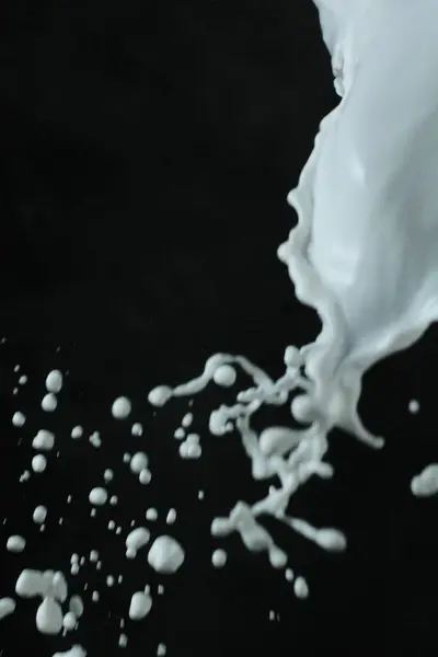 Splash White Milk — стоковое фото