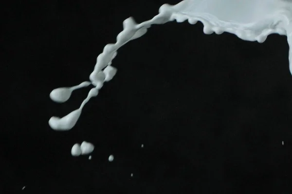 Всплеск Молока Чёрном Фоне — стоковое фото