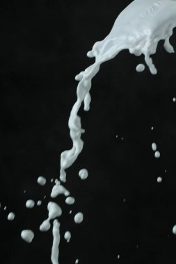 Siyah arkaplanda süt damlası