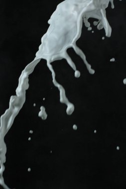 Siyah arkaplanda izole edilmiş süt sıçratma