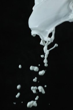 Süt sıçratma, siyah arka plan. Siyah arkaplanda süt damlası.