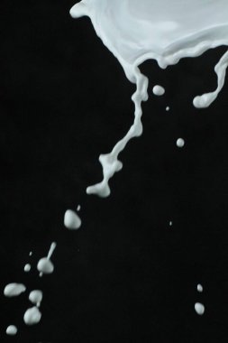 siyah bir arka plan üzerinde izole süt splash