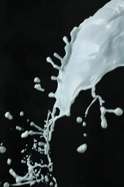 Weiße Milchspritzer Auf Schwarzem Hintergrund — Stockfoto