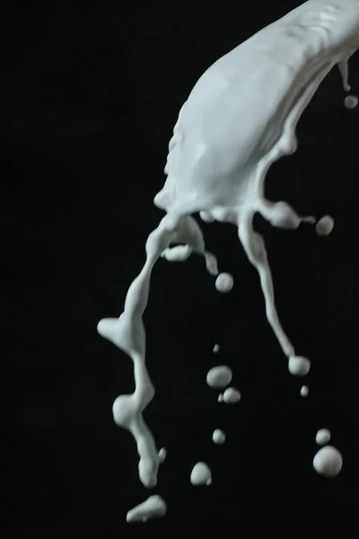 Spritzer Milch Auf Schwarzem Hintergrund — Stockfoto