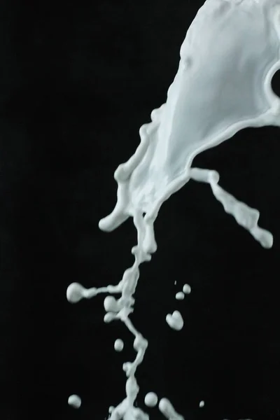 白牛奶溅在黑色底色上 — 图库照片
