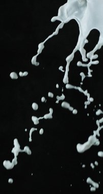 Siyah arkaplanda süt damlası