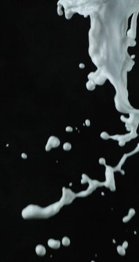 siyah arka plan üzerine süt sıçrama