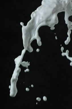 Siyah arkaplanda izole edilmiş süt sıçratma
