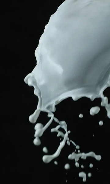 Spritzmilch Auf Schwarzem Hintergrund — Stockfoto